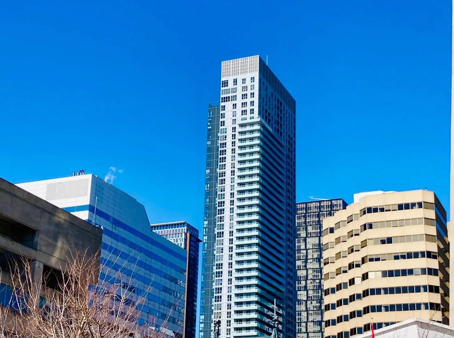 Central Toronto Suite - Free Parking, City Views, Near Cn Tower 0*,  Canada